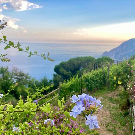Villa Pietrafiore 蒙特罗索阿尔马雷 外观 照片