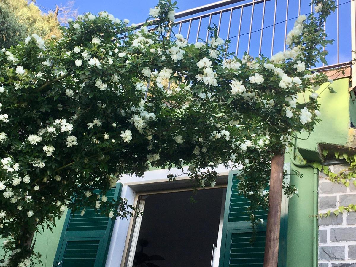 Villa Pietrafiore 蒙特罗索阿尔马雷 外观 照片