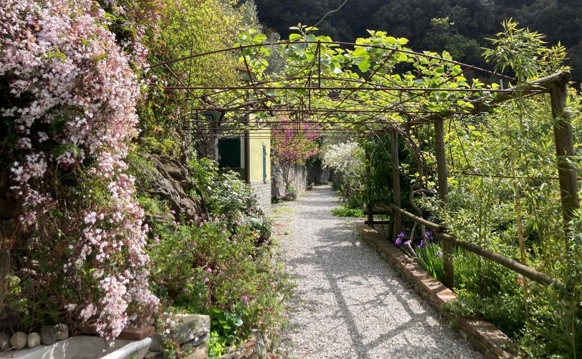Villa Pietrafiore 蒙特罗索阿尔马雷 外观 照片