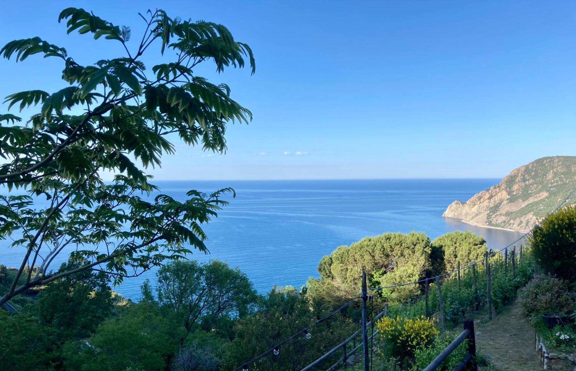 Villa Pietrafiore 蒙特罗索阿尔马雷 外观 照片