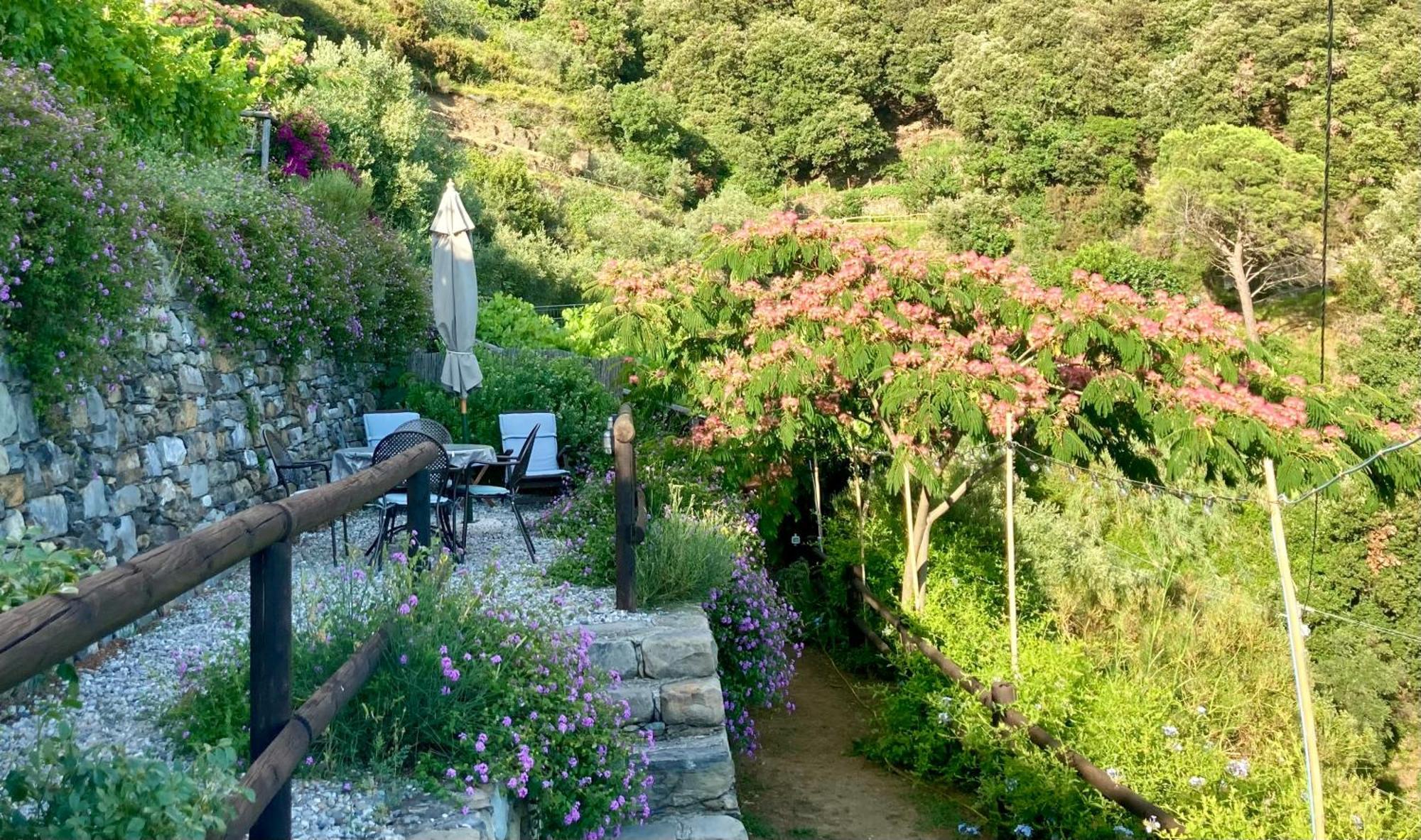 Villa Pietrafiore 蒙特罗索阿尔马雷 外观 照片
