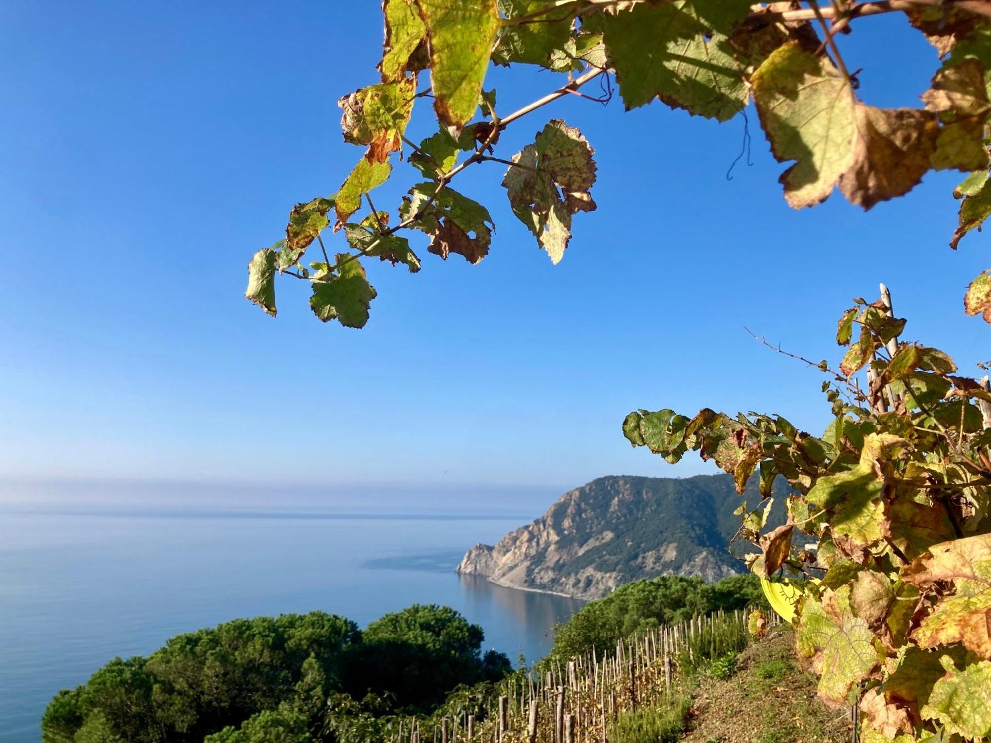 Villa Pietrafiore 蒙特罗索阿尔马雷 外观 照片