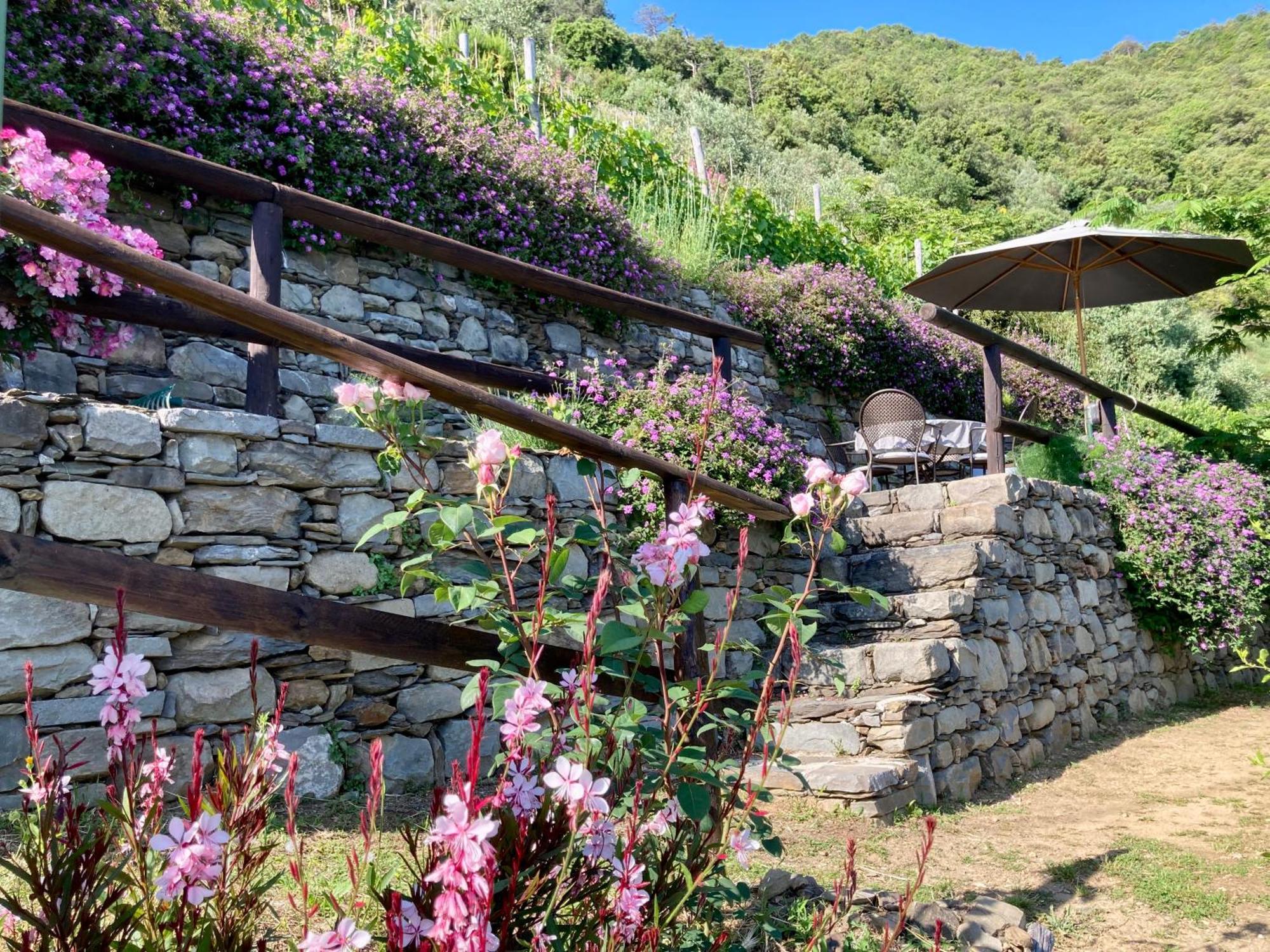 Villa Pietrafiore 蒙特罗索阿尔马雷 外观 照片