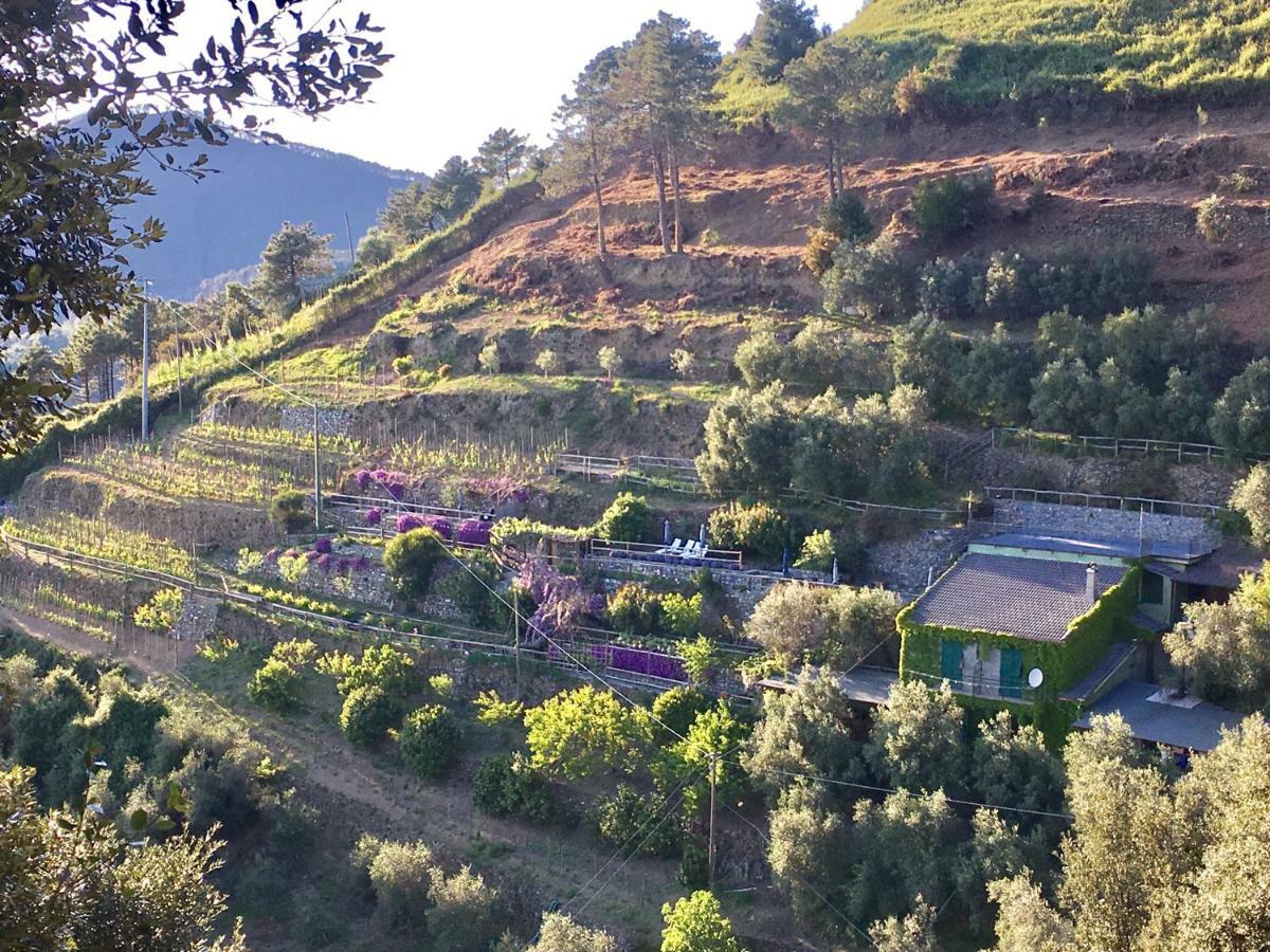 Villa Pietrafiore 蒙特罗索阿尔马雷 外观 照片